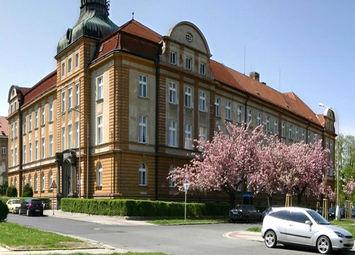 Silesian University